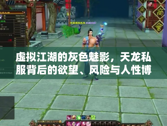 虚拟江湖的灰色魅影，天龙私服背后的欲望、风险与人性博弈
