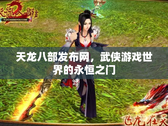 天龙八部发布网，武侠游戏世界的永恒之门