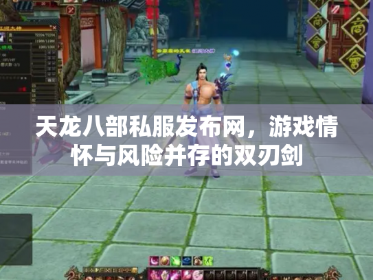 天龙八部私服发布网，游戏情怀与风险并存的双刃剑