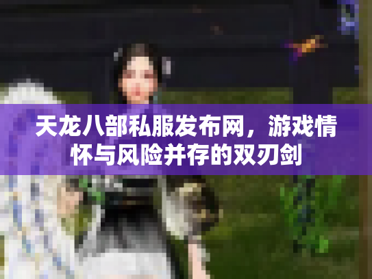 天龙八部私服发布网，游戏情怀与风险并存的双刃剑