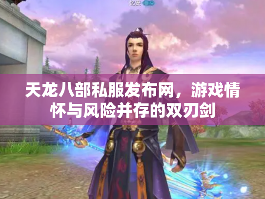天龙八部私服发布网，游戏情怀与风险并存的双刃剑