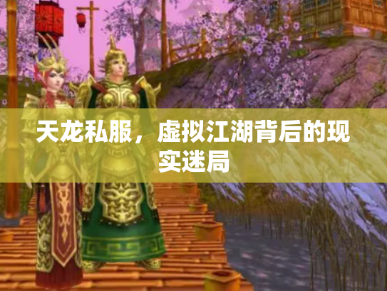 天龙私服，虚拟江湖背后的现实迷局