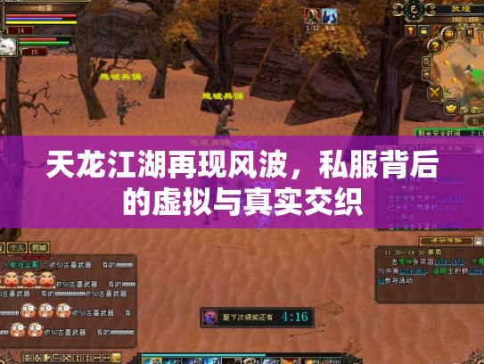 天龙江湖再现风波，私服背后的虚拟与真实交织