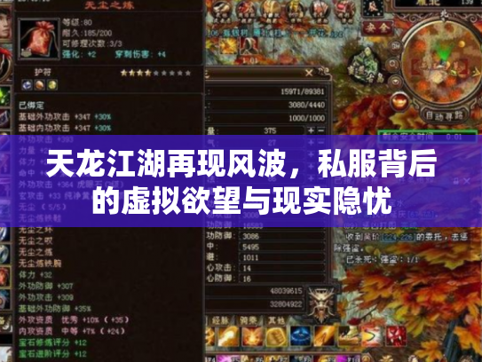天龙江湖再现风波，私服背后的虚拟欲望与现实隐忧