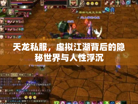天龙私服，虚拟江湖背后的隐秘世界与人性浮沉