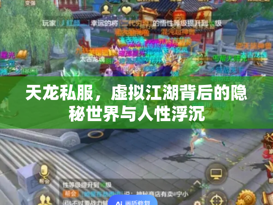 天龙私服，虚拟江湖背后的隐秘世界与人性浮沉