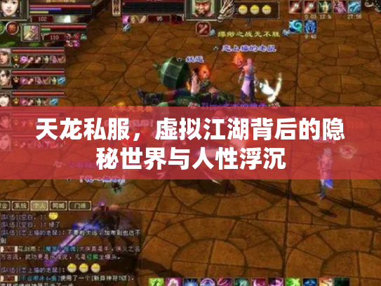 天龙私服，虚拟江湖背后的隐秘世界与人性浮沉