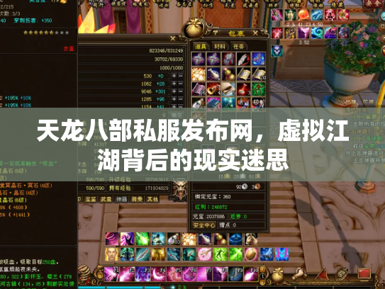天龙八部私服发布网，虚拟江湖背后的现实迷思