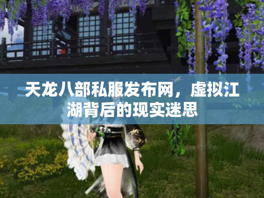 天龙八部私服发布网，虚拟江湖背后的现实迷思
