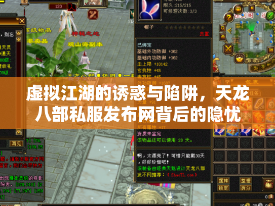虚拟江湖的诱惑与陷阱，天龙八部私服发布网背后的隐忧