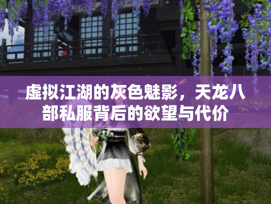 虚拟江湖的灰色魅影，天龙八部私服背后的欲望与代价