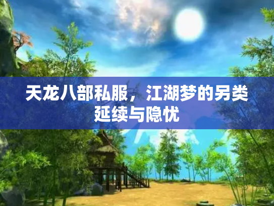 天龙八部私服，江湖梦的另类延续与隐忧
