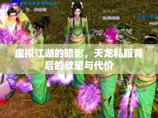 虚拟江湖的暗影，天龙私服背后的欲望与代价