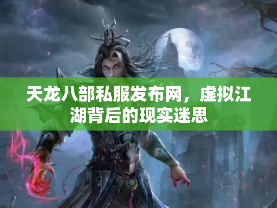 天龙八部私服发布网，虚拟江湖背后的现实迷思