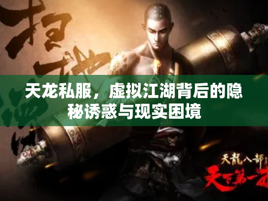 天龙私服，虚拟江湖背后的隐秘诱惑与现实困境