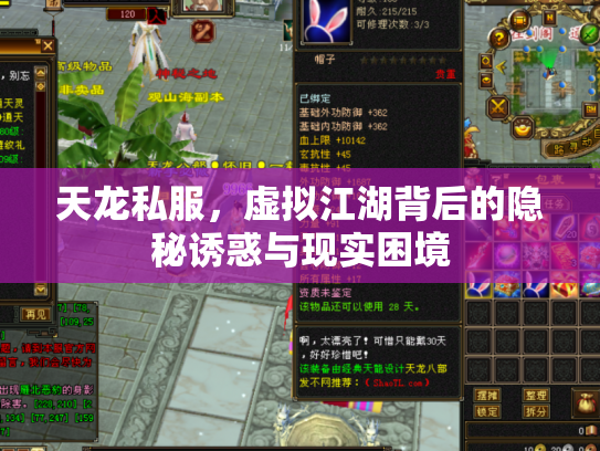 天龙私服，虚拟江湖背后的隐秘诱惑与现实困境