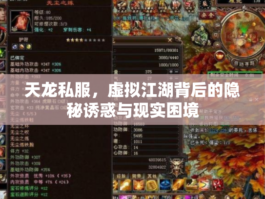 天龙私服，虚拟江湖背后的隐秘诱惑与现实困境