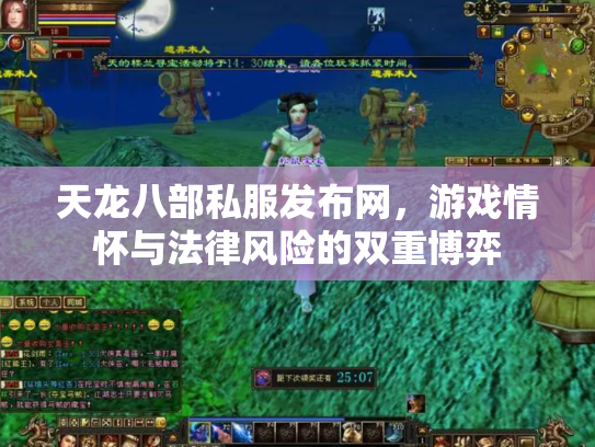 天龙八部私服发布网，游戏情怀与法律风险的双重博弈