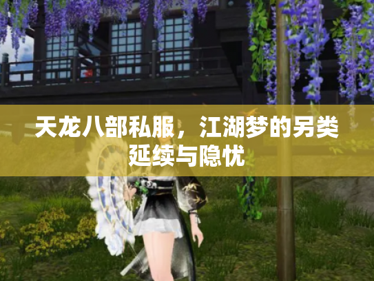 天龙八部私服，江湖梦的另类延续与隐忧