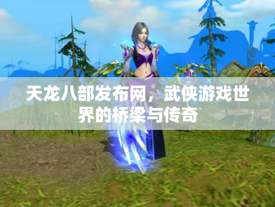 天龙八部发布网，武侠游戏世界的桥梁与传奇