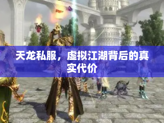 天龙私服，虚拟江湖背后的真实代价