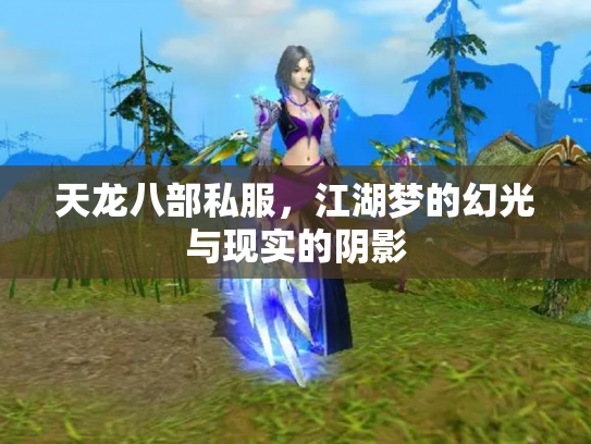 天龙八部私服，江湖梦的幻光与现实的阴影