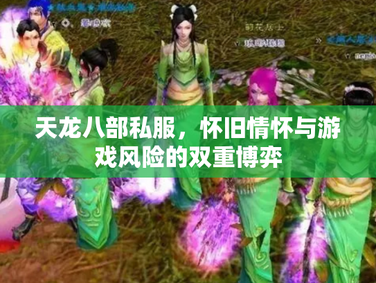 天龙八部私服，怀旧情怀与游戏风险的双重博弈