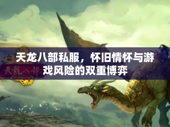 天龙八部私服，怀旧情怀与游戏风险的双重博弈