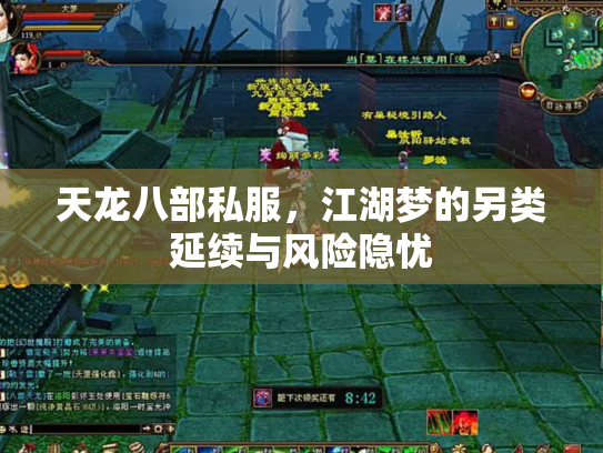天龙八部私服，江湖梦的另类延续与风险隐忧