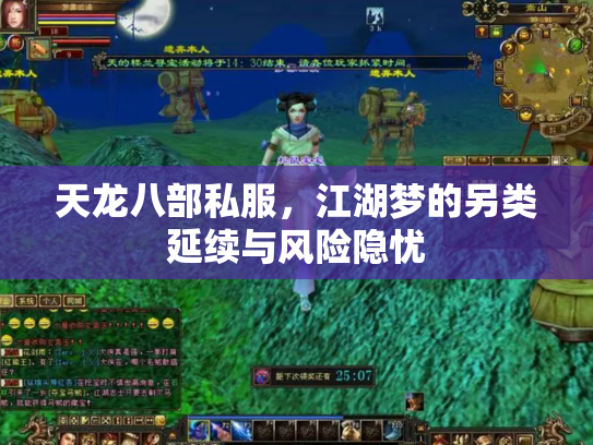 天龙八部私服，江湖梦的另类延续与风险隐忧
