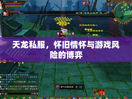 天龙私服，怀旧情怀与游戏风险的博弈