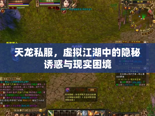 天龙私服，虚拟江湖中的隐秘诱惑与现实困境