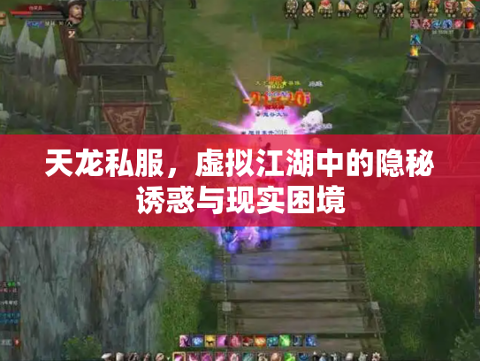 天龙私服，虚拟江湖中的隐秘诱惑与现实困境