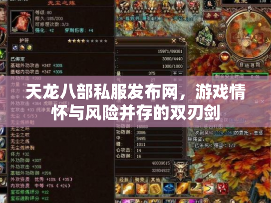 天龙八部私服发布网，游戏情怀与风险并存的双刃剑