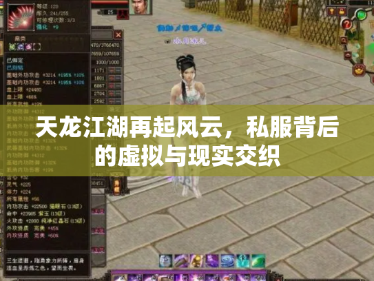 天龙江湖再起风云，私服背后的虚拟与现实交织