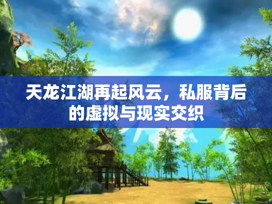 天龙江湖再起风云，私服背后的虚拟与现实交织