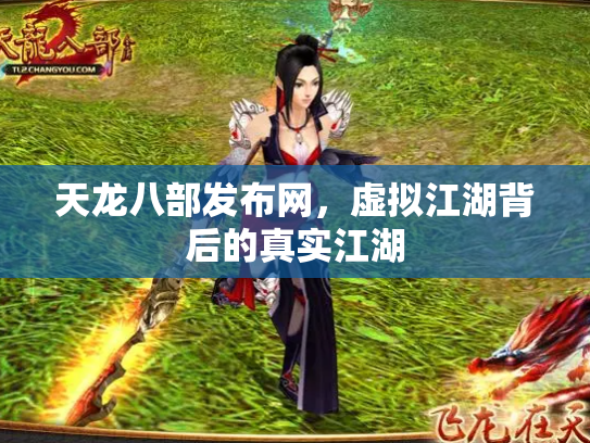 天龙八部发布网，虚拟江湖背后的真实江湖