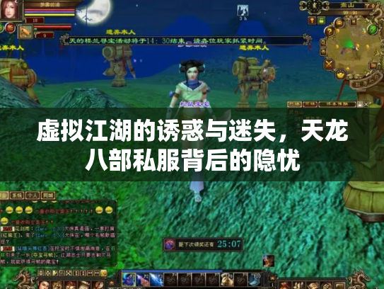 虚拟江湖的诱惑与迷失，天龙八部私服背后的隐忧