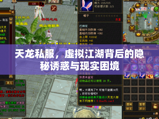 天龙私服，虚拟江湖背后的隐秘诱惑与现实困境