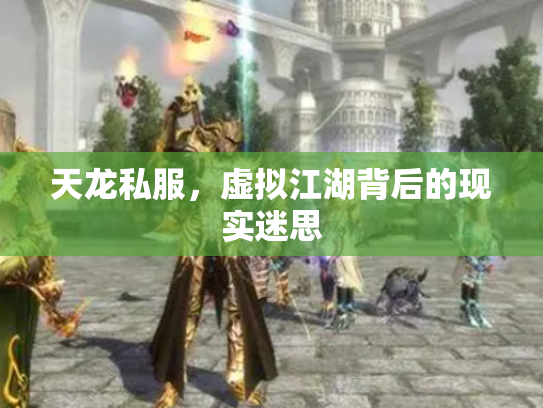 天龙私服，虚拟江湖背后的现实迷思