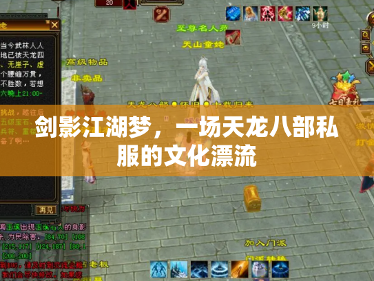 剑影江湖梦，一场天龙八部私服的文化漂流