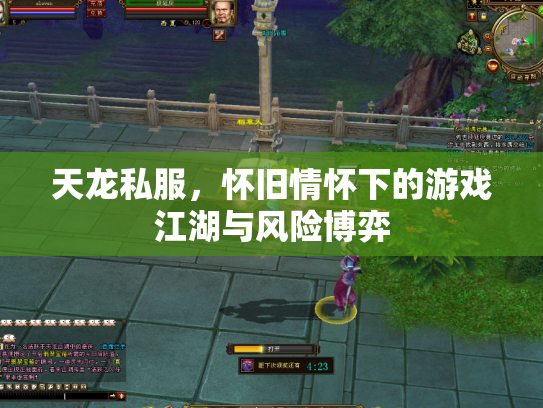 天龙私服，怀旧情怀下的游戏江湖与风险博弈