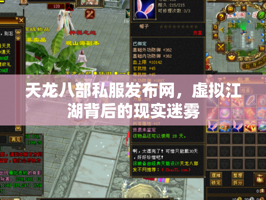 天龙八部私服发布网，虚拟江湖背后的现实迷雾