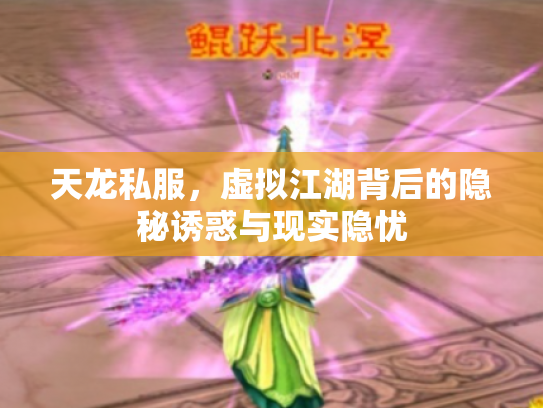 天龙私服，虚拟江湖背后的隐秘诱惑与现实隐忧