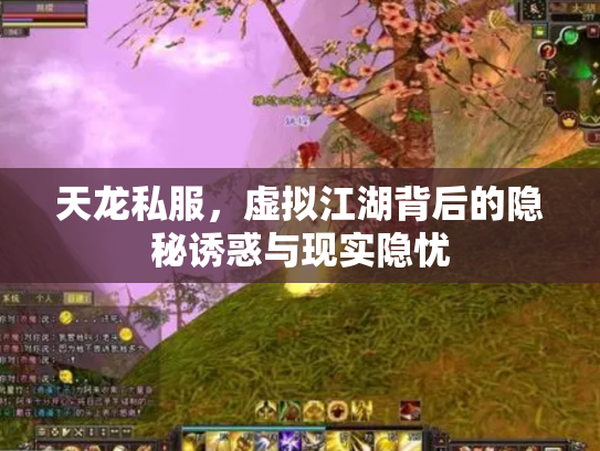 天龙私服，虚拟江湖背后的隐秘诱惑与现实隐忧