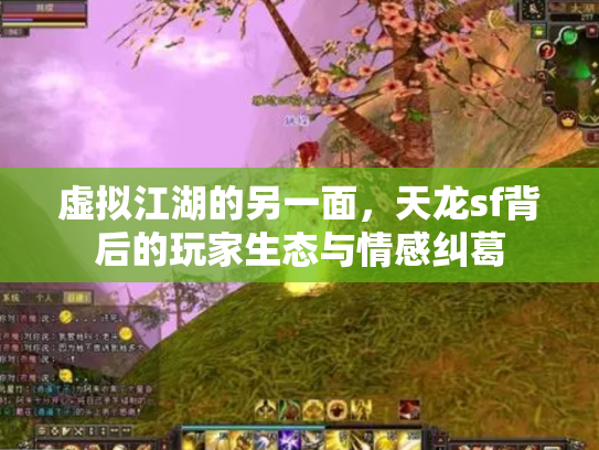 虚拟江湖的另一面，天龙sf背后的玩家生态与情感纠葛