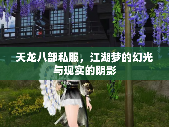 天龙八部私服，江湖梦的幻光与现实的阴影