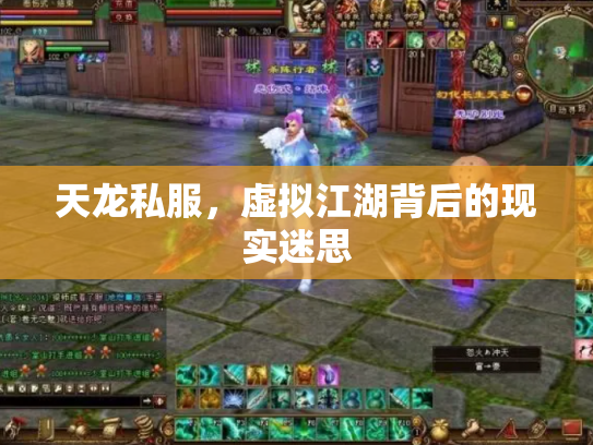 天龙私服，虚拟江湖背后的现实迷思