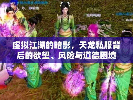 虚拟江湖的暗影，天龙私服背后的欲望、风险与道德困境