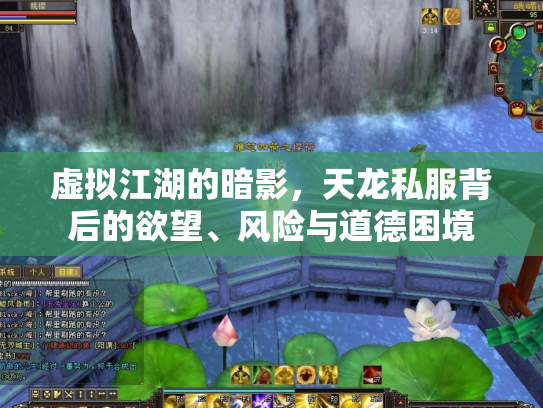 虚拟江湖的暗影，天龙私服背后的欲望、风险与道德困境